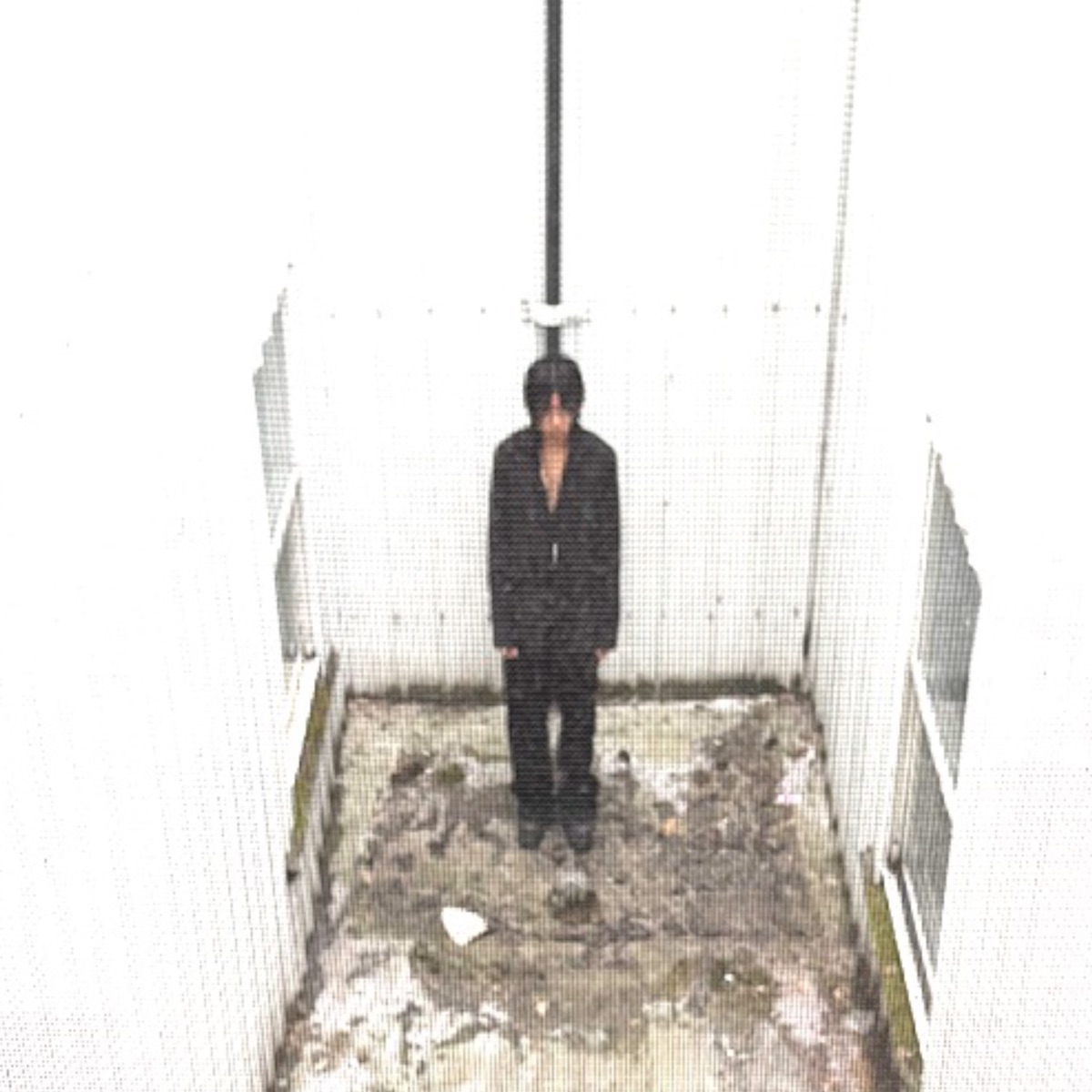 nomu profile picture